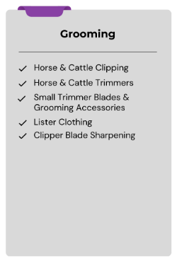 Equine Landing Page section 1 Grooming-244